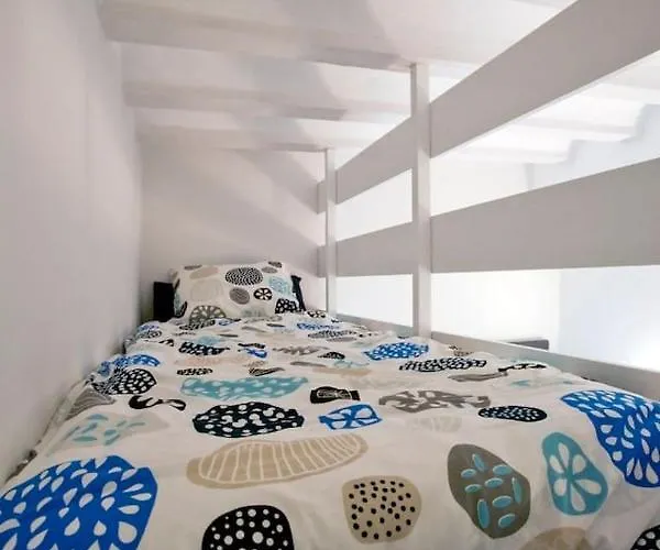 Gatu Alameda * Cadiz